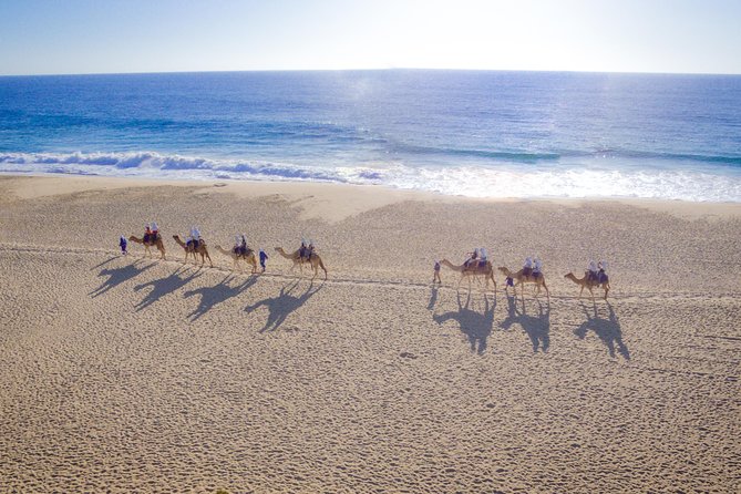 Cabo San Lucas Camel Ride With Mexican Buffet and Tequila Tasting - Accessibility and Restrictions