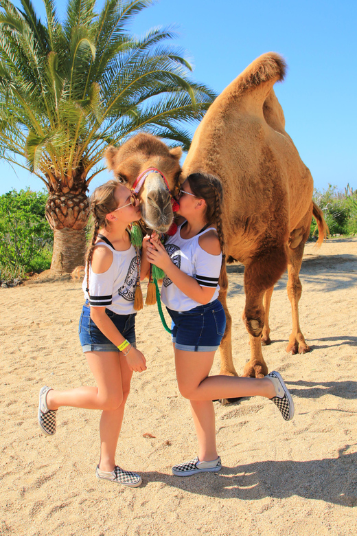 Cabo San Lucas: Camel Riding Experience With Snacks - Conservation Ranch Entrance Fee