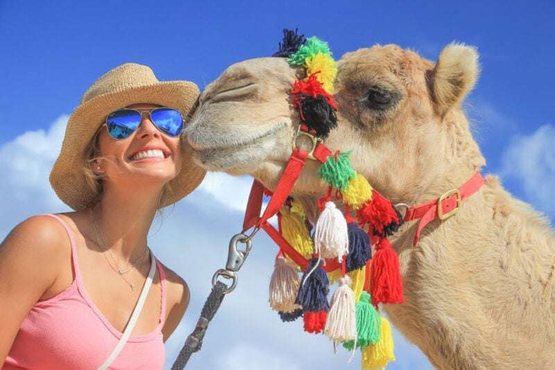 Cabo San Lucas: Camel Safari Tour With Lunch and Tequila - Key Points