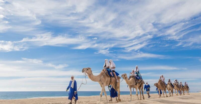 Cabo San Lucas: Camel Safari Tour With Lunch and Tequila - What to Bring and Restrictions