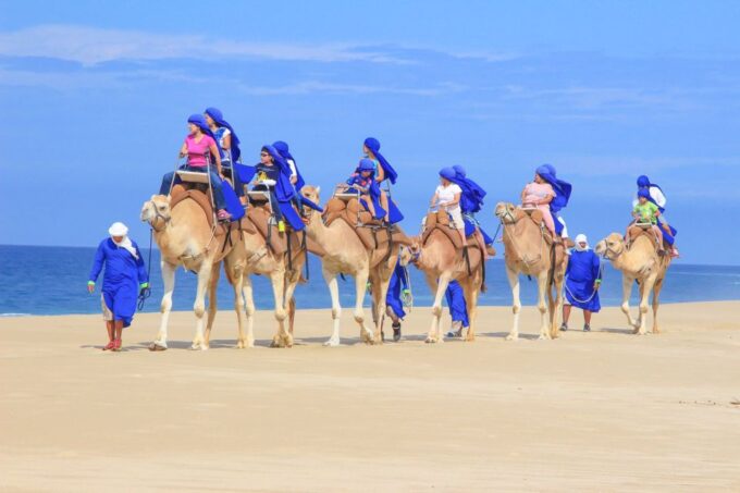 Cabo San Lucas: Camel Safari Tour With Lunch and Tequila - Customer Ratings and Reviews