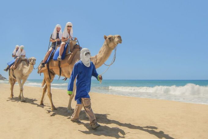 Cabo San Lucas: Camel Safari Tour With Lunch and Tequila - Frequently Asked Questions