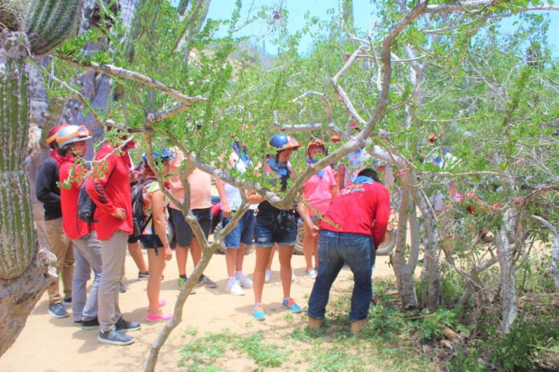 Cabo San Lucas: Candelaria Village ATV Tour - Cancellation Policy