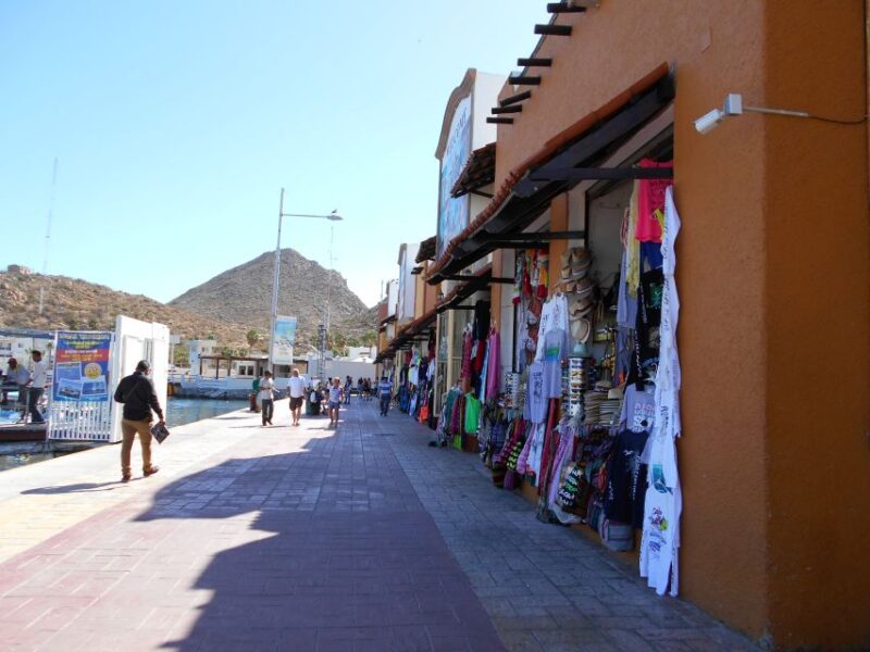 Cabo San Lucas: City Tour and Beach Day - Participant Information