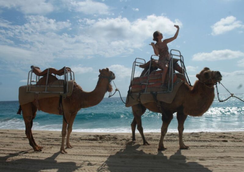 Cabo San Lucas: Combo Vehicle Plus Camel or Horse Tour - Experience Highlights