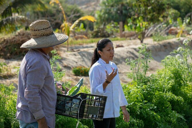Cabo San Lucas Cooking Classes by Chef Ari - Who Will Love This Experience?