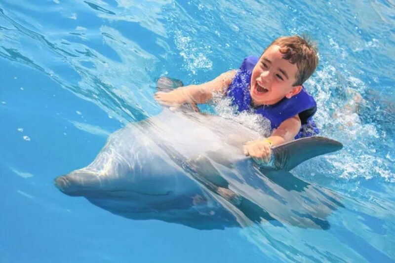 Cabo San Lucas: Dolphin Swim Class With Marine Specialist - Key Points