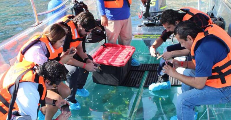 Cabo San Lucas: Glass-Bottom Boat Cruise and Tequila Tasting - Booking Details