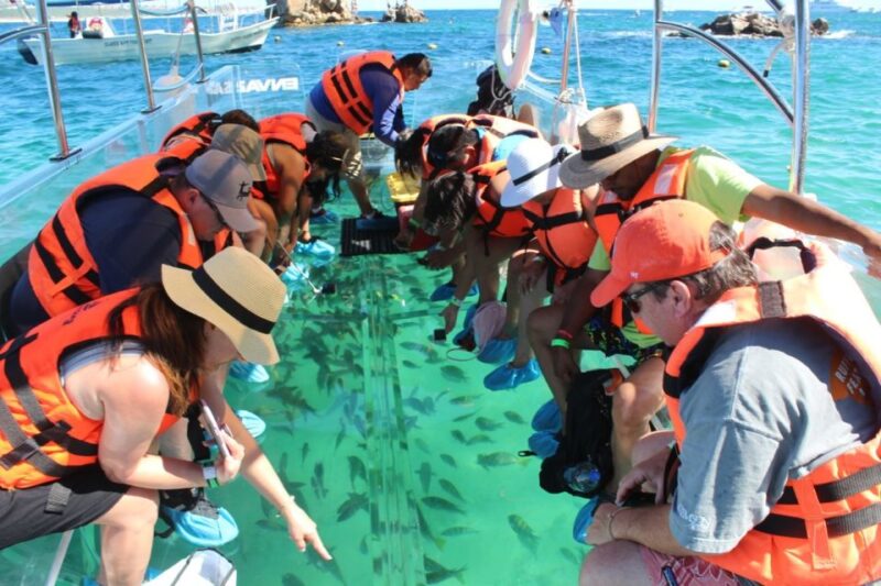 Cabo San Lucas: Glass Bottom Boat Tour to Lands End - Inclusions