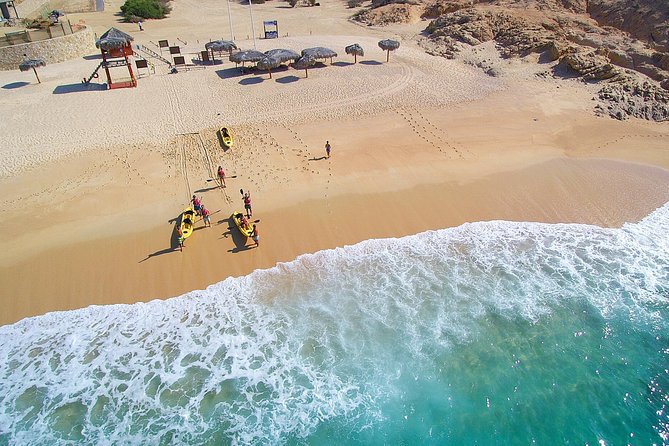 Cabo San Lucas Glass Bottom Kayak Tour and Snorkel at Two Bays - Tour Highlights
