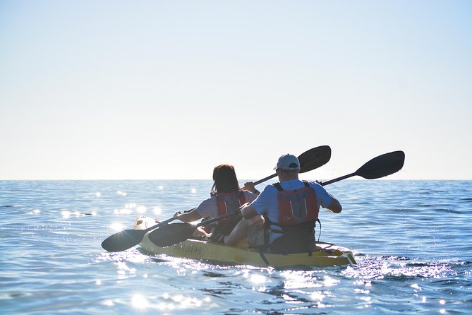 Cabo San Lucas Glass Bottom Kayak Tour and Snorkel at Two Bays - Kayak Specifications