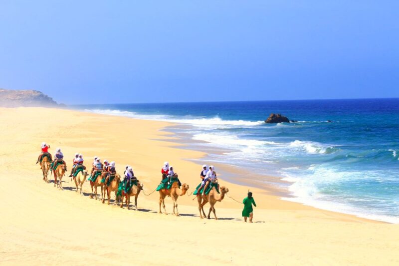 Cabo San Lucas: Guided Tour, Glass-Bottom Boat & Camel Ride - Experience Highlights