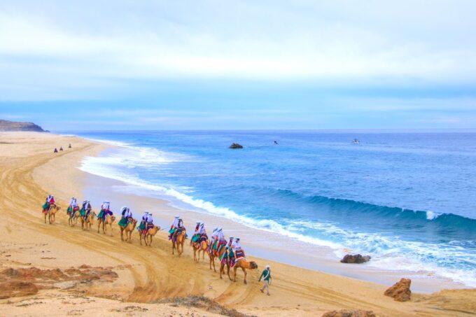 Cabo San Lucas: Guided Tour, Glass-Bottom Boat & Camel Ride - How to Book