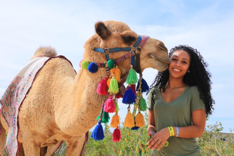 Cabo San Lucas: Half-day Guided Camel Safari Tour - Participant Restrictions and Recommendations