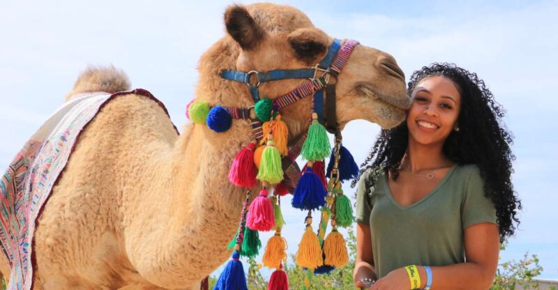 Cabo San Lucas: Half-day Guided Camel Safari Tour - Tasting and Dining