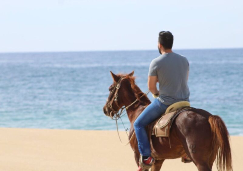 Cabo San Lucas: Horseback Riding Adventure - Guided Tour Details