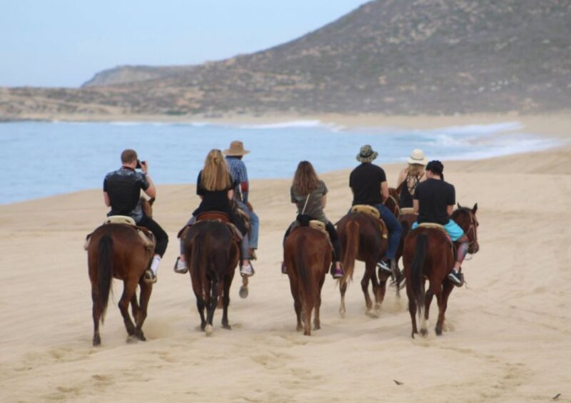 Cabo San Lucas: Horseback Riding Adventure - Safety and Precautions