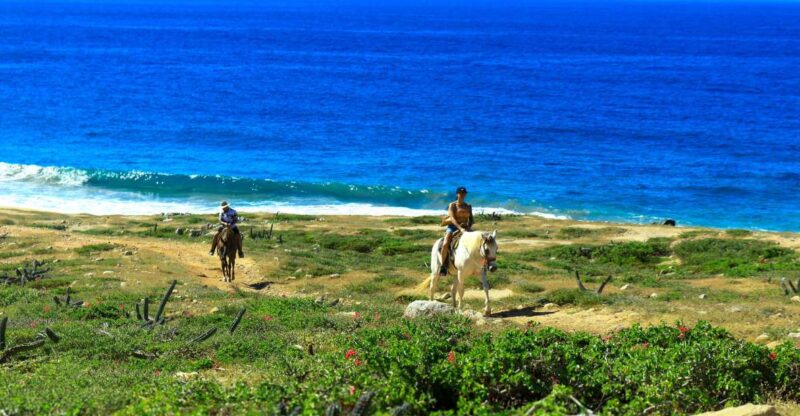 Cabo San Lucas: Horseback Riding Migriño - Included Features