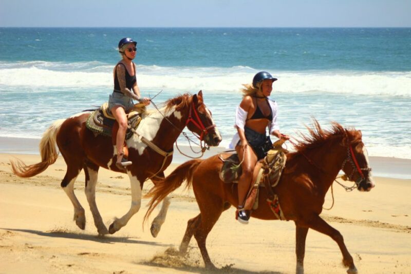 Cabo San Lucas: Horseback Riding Migriño - Customer Feedback