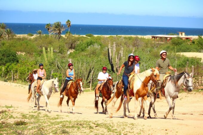 Cabo San Lucas: Horseback Riding Migriño - Local Flora and Fauna