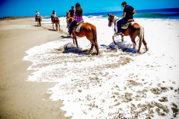 Cabo San Lucas: Horseback Riding Migriño - Frequently Asked Questions