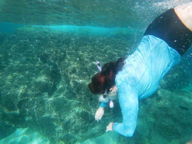 Cabo San Lucas: Kayaking Adventure Tour - Experience Highlights