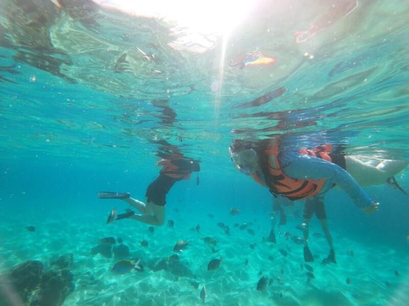 Cabo San Lucas: Kayaking Adventure Tour - Included Amenities