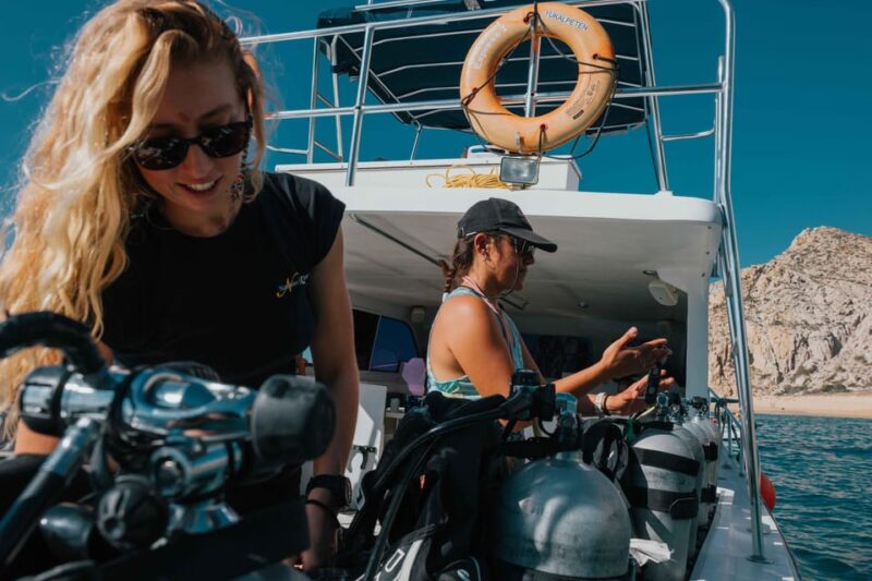 Cabo San Lucas: Local Dives (CSL Marine Park) and Corridor. - Marine Life Encounters