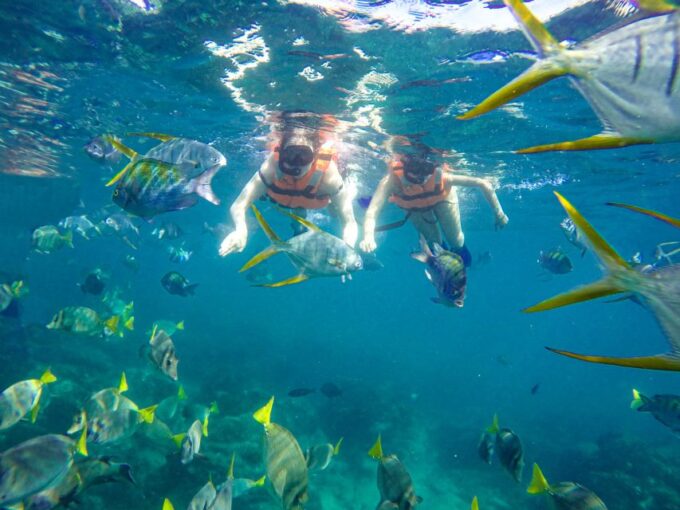 Cabo San Lucas: Luxury Catamaran and Snorkelling With Lunch - Snorkelling Opportunities