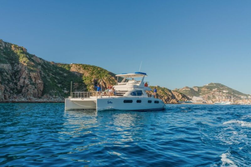 Cabo San Lucas: Luxury Catamaran Whale Watching Experience - What to Expect