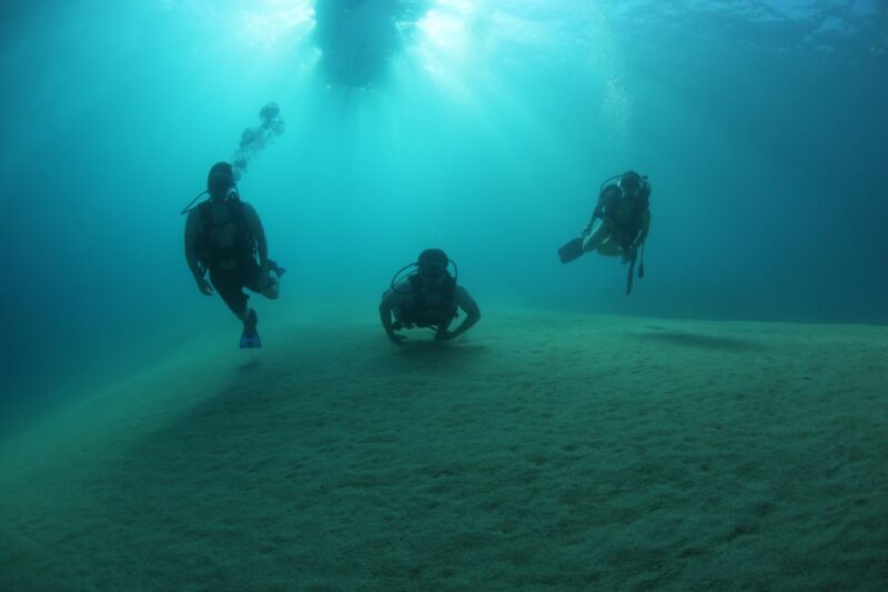 Cabo San Lucas Marine Park Scuba Diving - Key Points