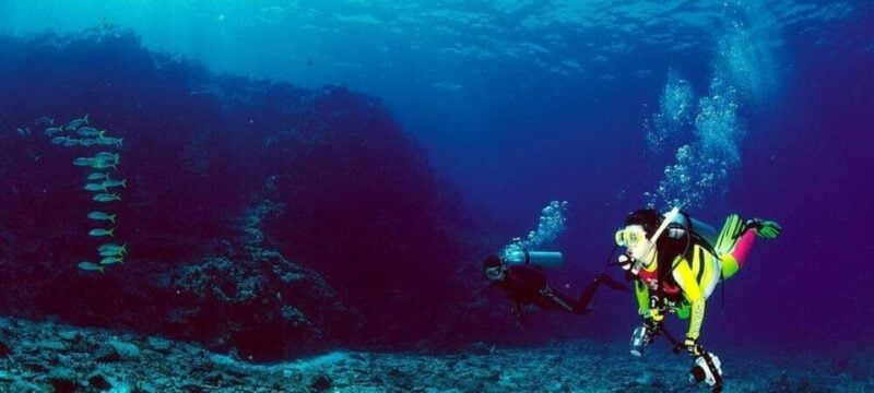 Cabo San Lucas: Marine Reserve Dive - Explore Underwater World