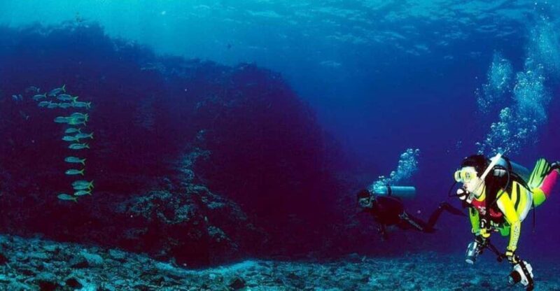 Cabo San Lucas: Marine Reserve Dive - Discover Sand Falls Phenomenon