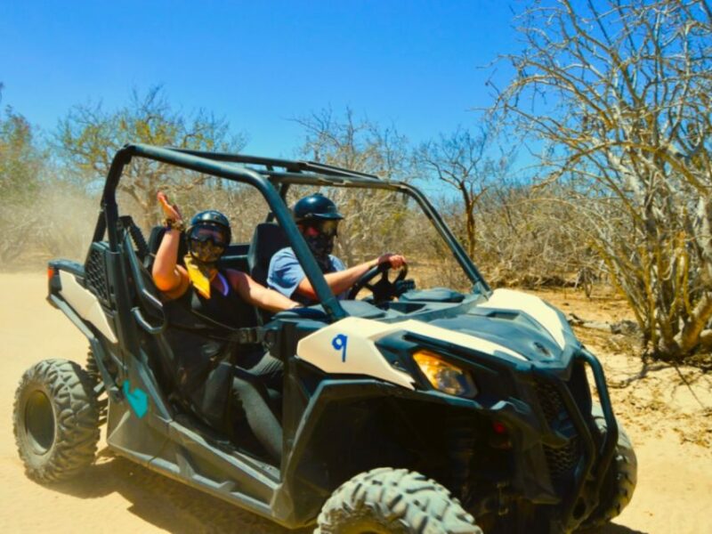Cabo San Lucas: Migriño Beach & Desert UTV Adventure - Adventure Highlights