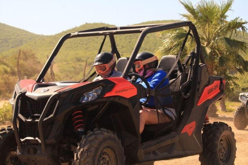 Cabo San Lucas: Migrino Beach & Desert UTV Tour - Pricing