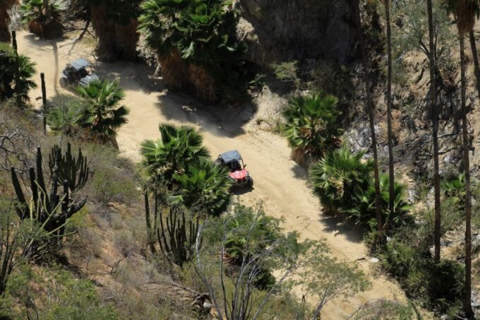 Cabo San Lucas Off-Road UTV Driving Experience - Guidelines and Restrictions