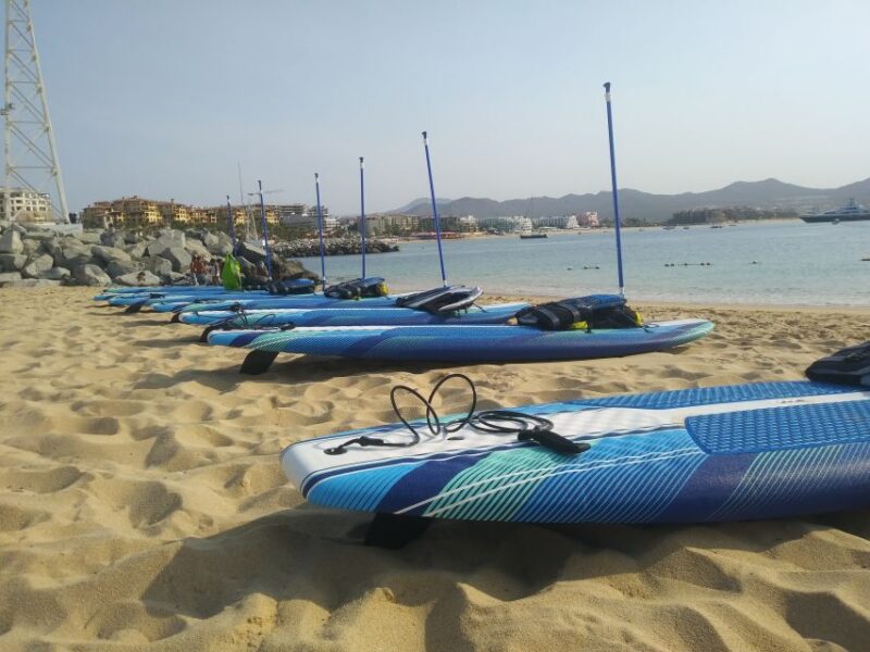Cabo San Lucas: Paddle Boarding or Kayak and Snorkeling - Key Points