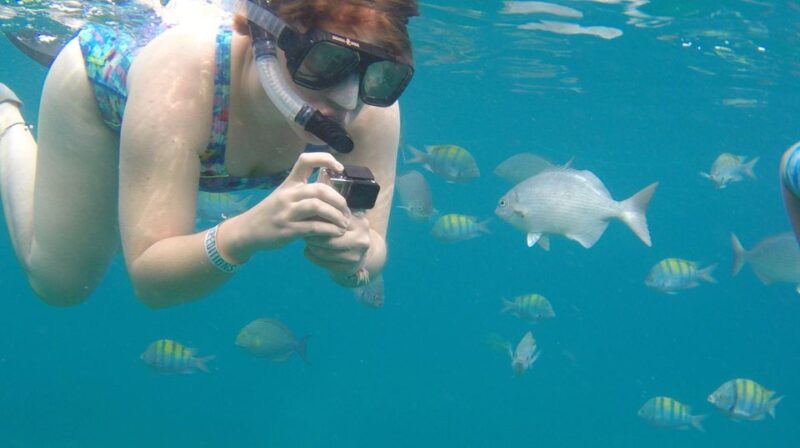Cabo San Lucas: Paddle Boarding or Kayak and Snorkeling - Meeting Point and Cancellation