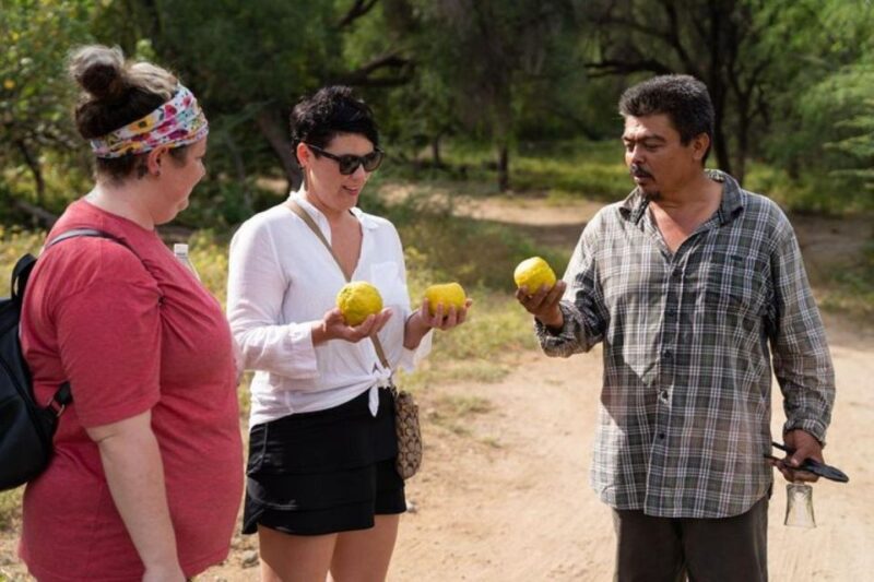 Cabo San Lucas: Pericu Native Road Hike - Culinary Experience