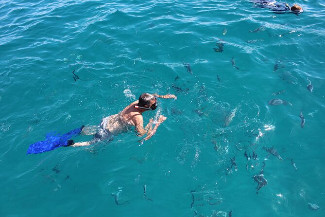 Cabo San Lucas Pirate Snorkel Tour - Why Choose This Tour