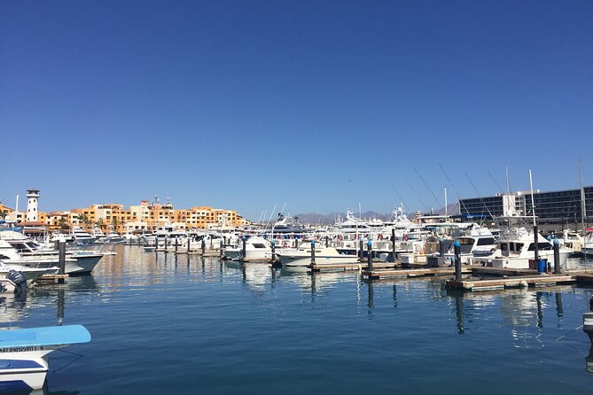 Cabo San Lucas Pirate Snorkel Tour - Getting to Cabo San Lucas