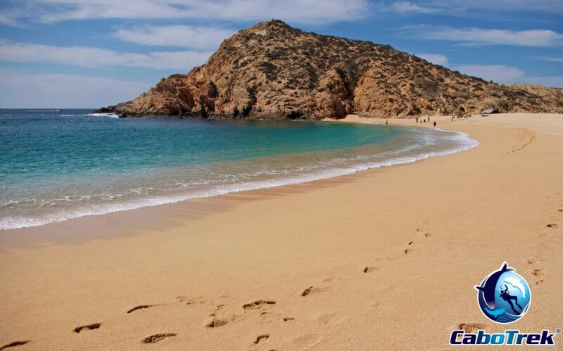 Cabo San Lucas Private and Shared Snorkeling Tour - Experience Highlights