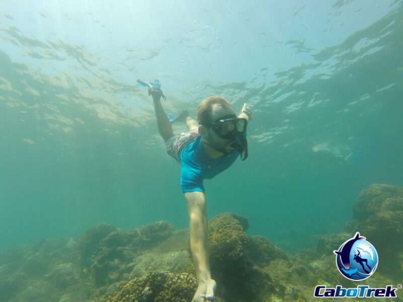 Cabo San Lucas Private and Shared Snorkeling Tour - Inclusions and Exclusions