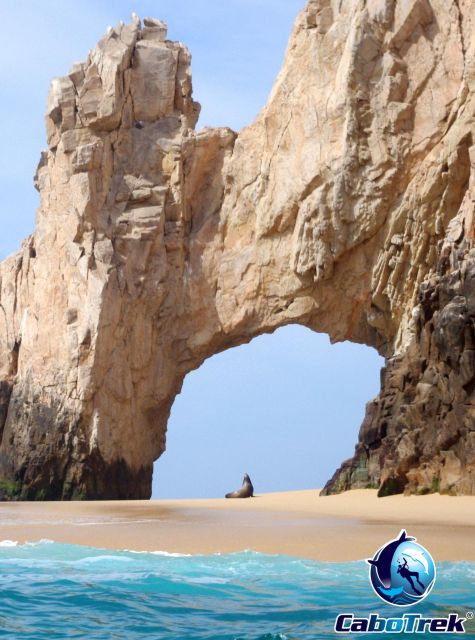Cabo San Lucas Private and Shared Snorkeling Tour - Important Information