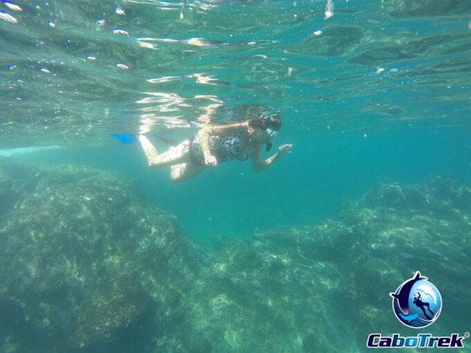 Cabo San Lucas Private and Shared Snorkeling Tour - Weather and Minimum Participants