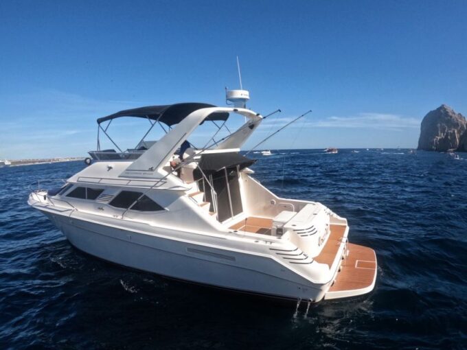Cabo San Lucas: Private Boat Tour With Paddle Boarding - Swim and Snorkel