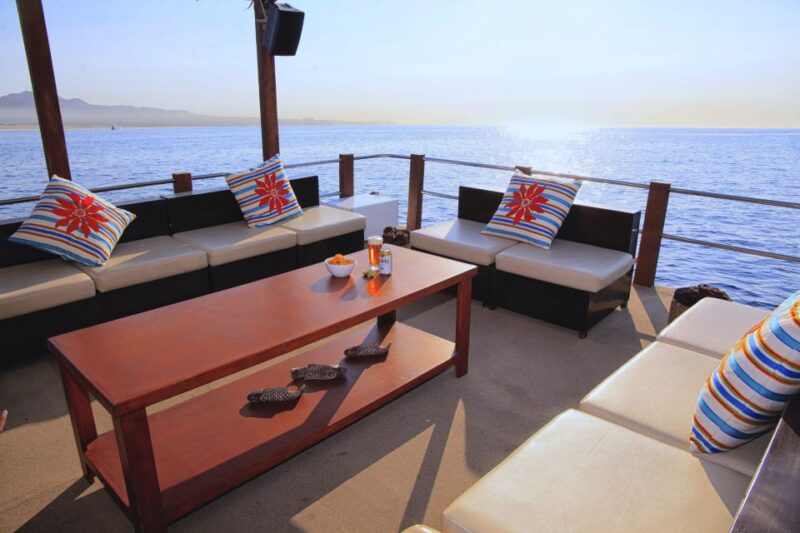 Cabo San Lucas: Private Catamaran Tour up to 22 People - Meeting Point and What to Bring