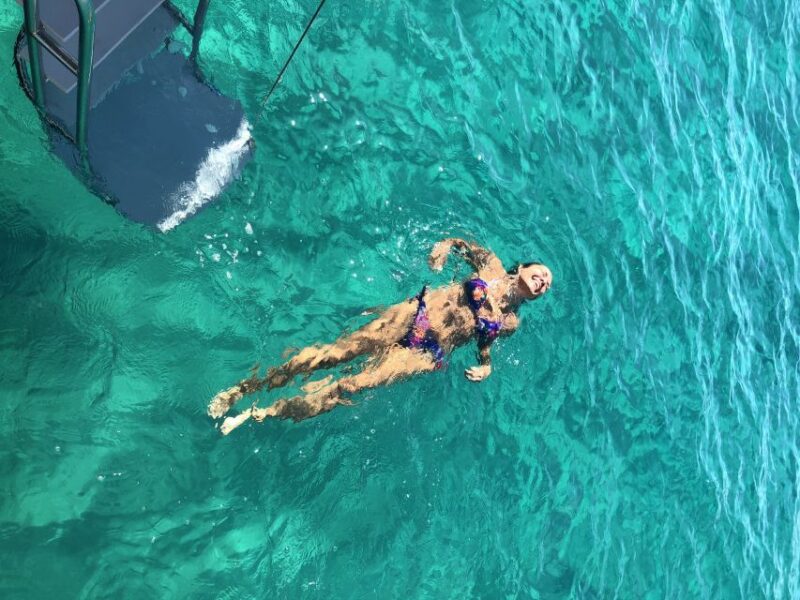 Cabo San Lucas Private Mini Catamaran Tour - Key Points