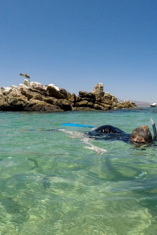 Cabo San Lucas: Reef Snorkel Experience - Pricing and Reservation