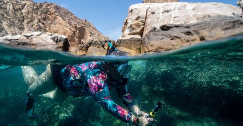 Cabo San Lucas: Reef Snorkel Experience - Tour Highlights